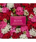 Shower Steamer | Bloom
